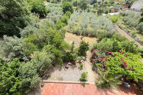 Cortijo i Albanchez, Almeria, Albanchez - € 112 000 | Ref: Cortijo Rosalia - foto 47